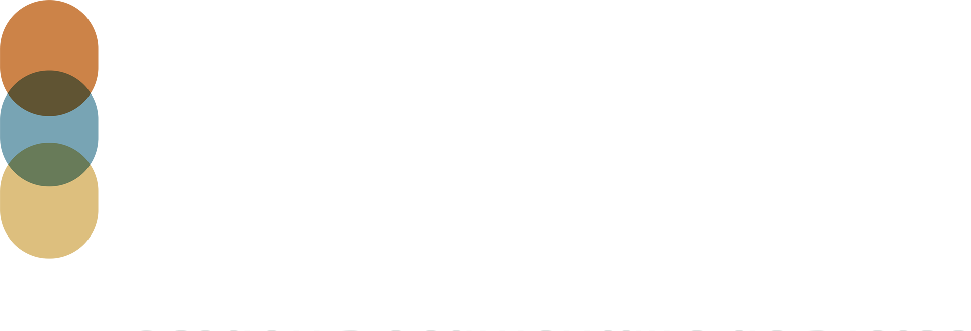 Logo DICMA Blanc